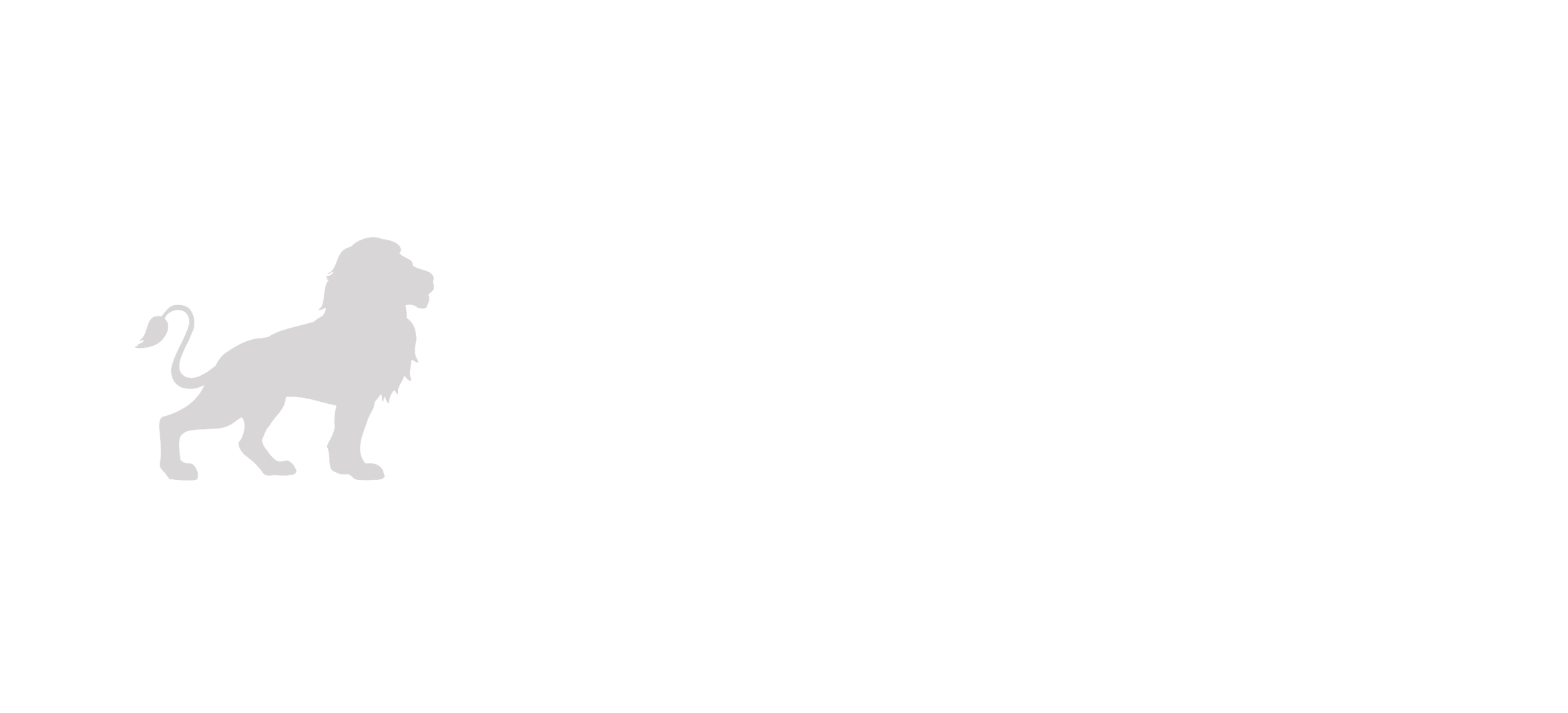 Sedat Toru Logo weiß